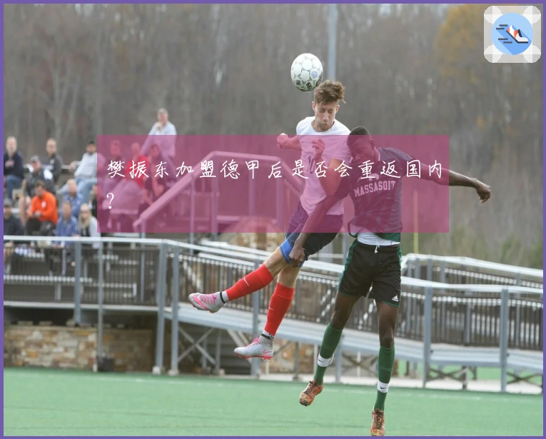 樊振东加盟德甲后是否会重返国内？