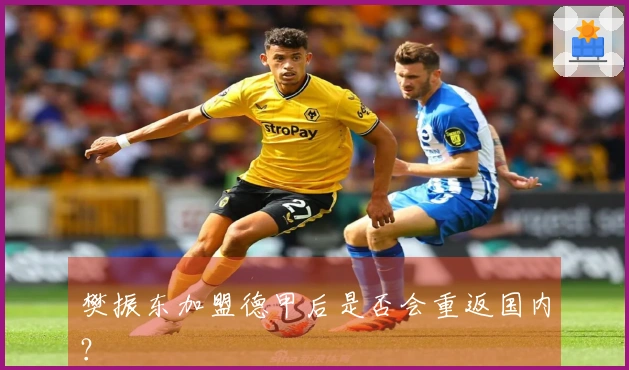樊振东加盟德甲后是否会重返国内？
